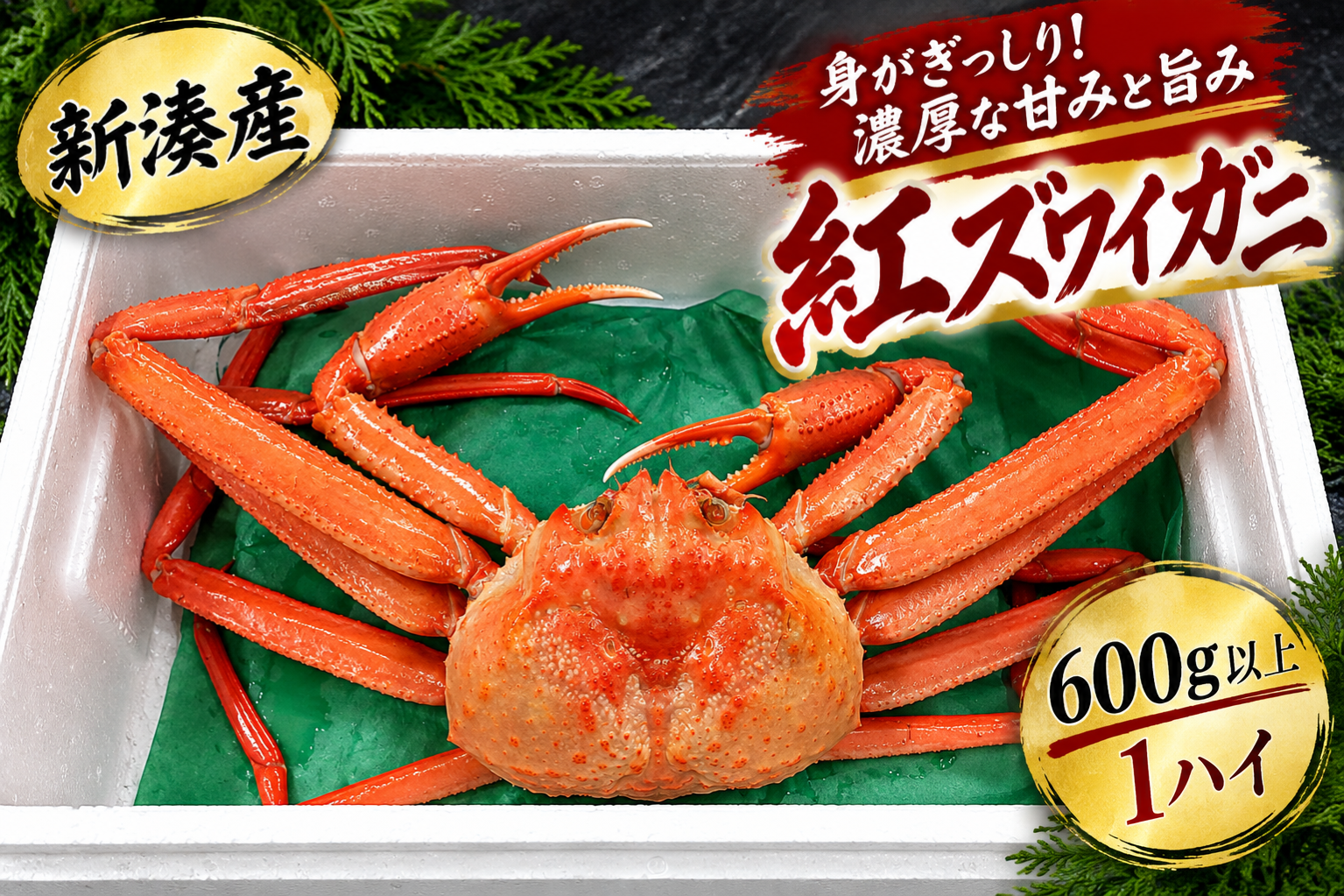 ChatGPT Image 2026年9月16日 08_19_53.png